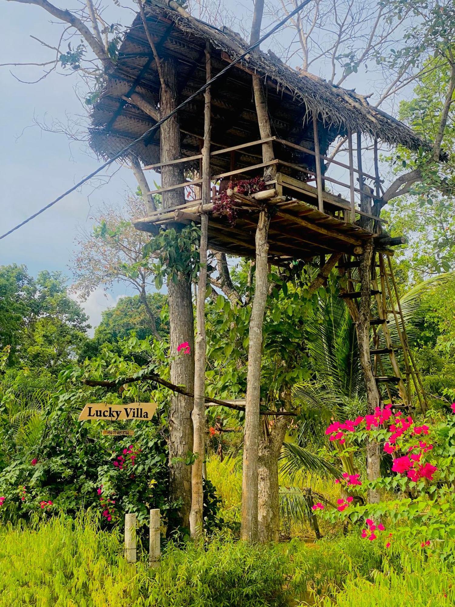 Lucky Villa Sigirîya Extérieur photo